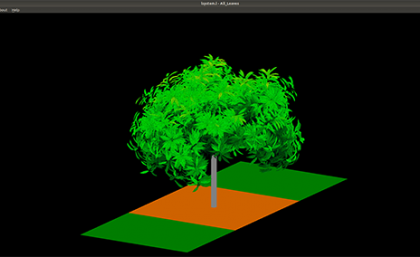 Digital image of mango tree by Dr Liqi Han